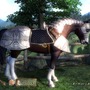 日本での『オブリビオン』発売時はそんなに注目作じゃなかった？『The Elder Scrolls IV: Oblivion』の発売からその後の展開まで振り返る【特集】